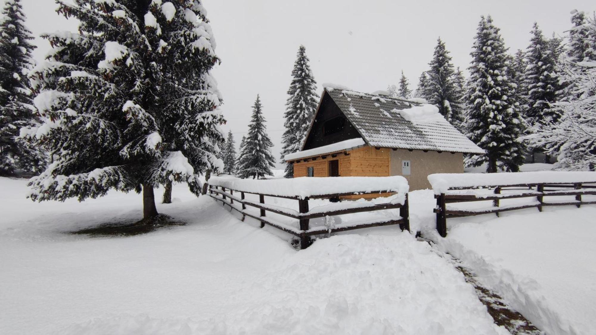 Triglav Bohinj