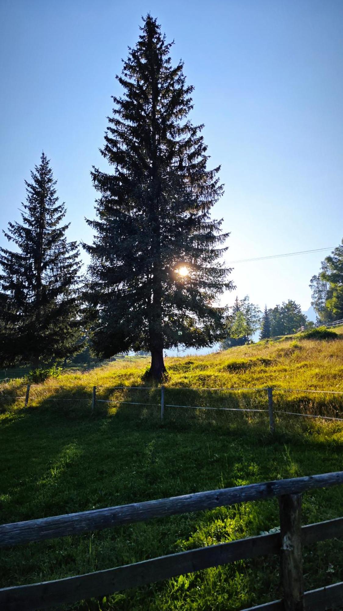 Triglav Holiday home *